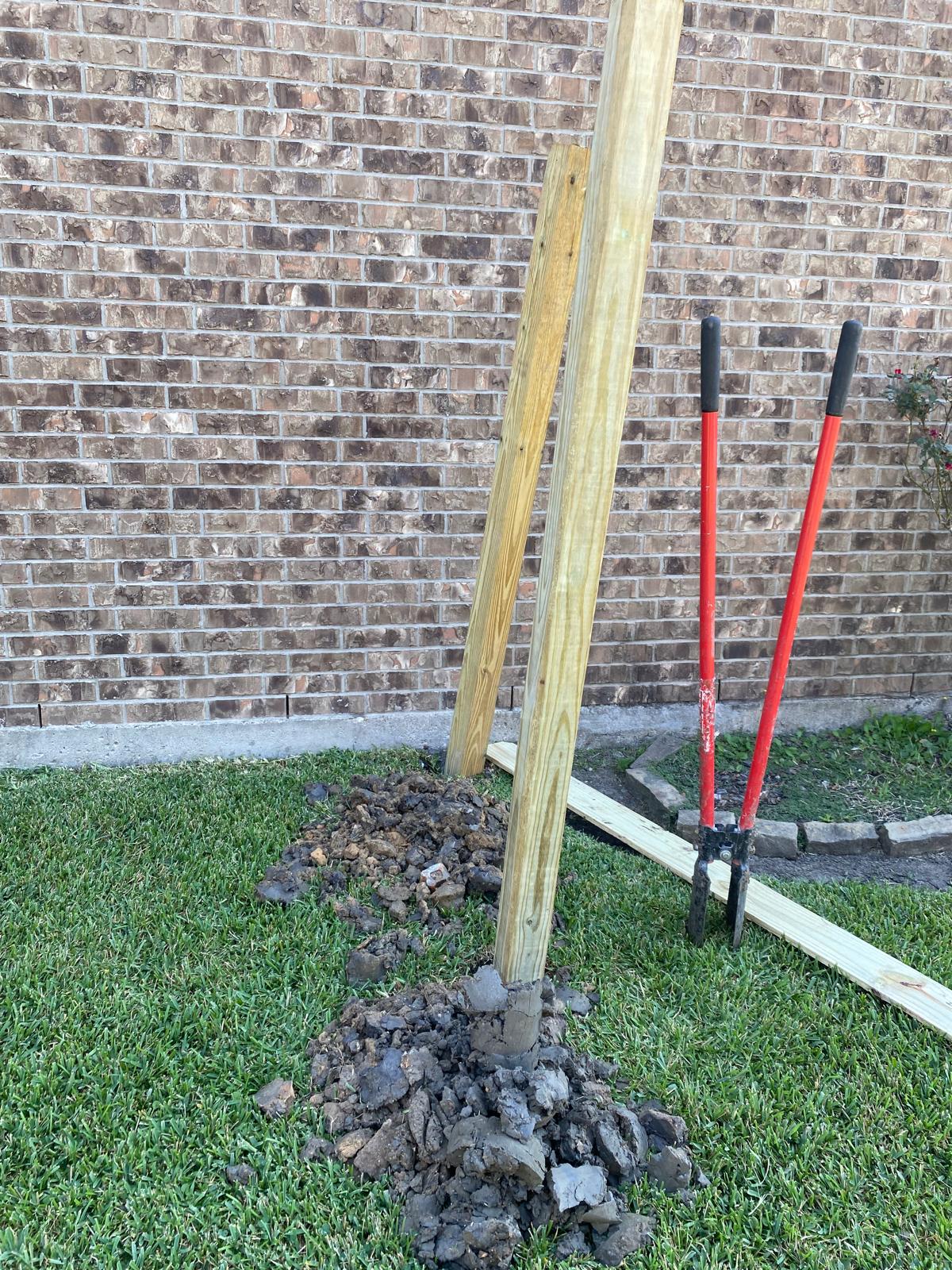 September, 2024 - Image 6