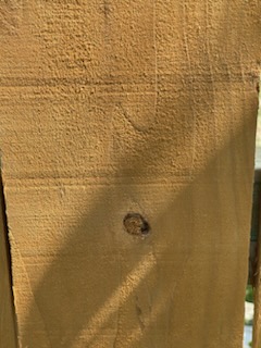 September, 2024 - Image 7